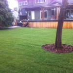 Sod and bulk mulch install at Port Moody