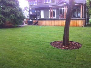 Sod and bulk mulch install at Port Moody