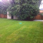 Sod and bulk mulch install at Port Moody