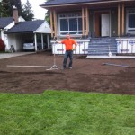Sod install at Port Moody