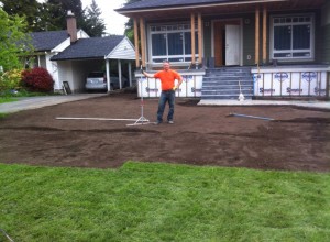 Sod install at Port Moody