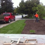 Sod install at Port Moody