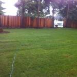 Sod and bulk mulch install at Port Moody