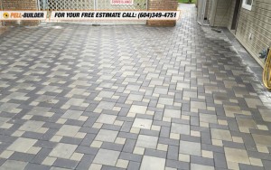 Paving Stone